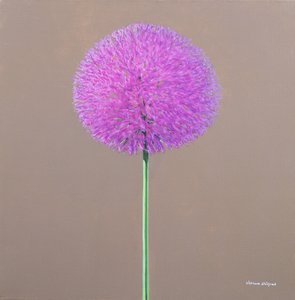 Alium